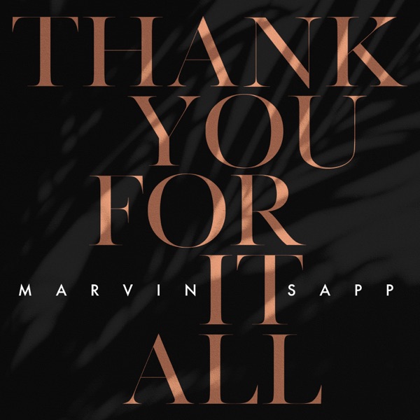 Thank You for It All - Single album cover