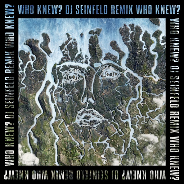 Who Knew? (DJ Seinfeld Remix) - Single album cover