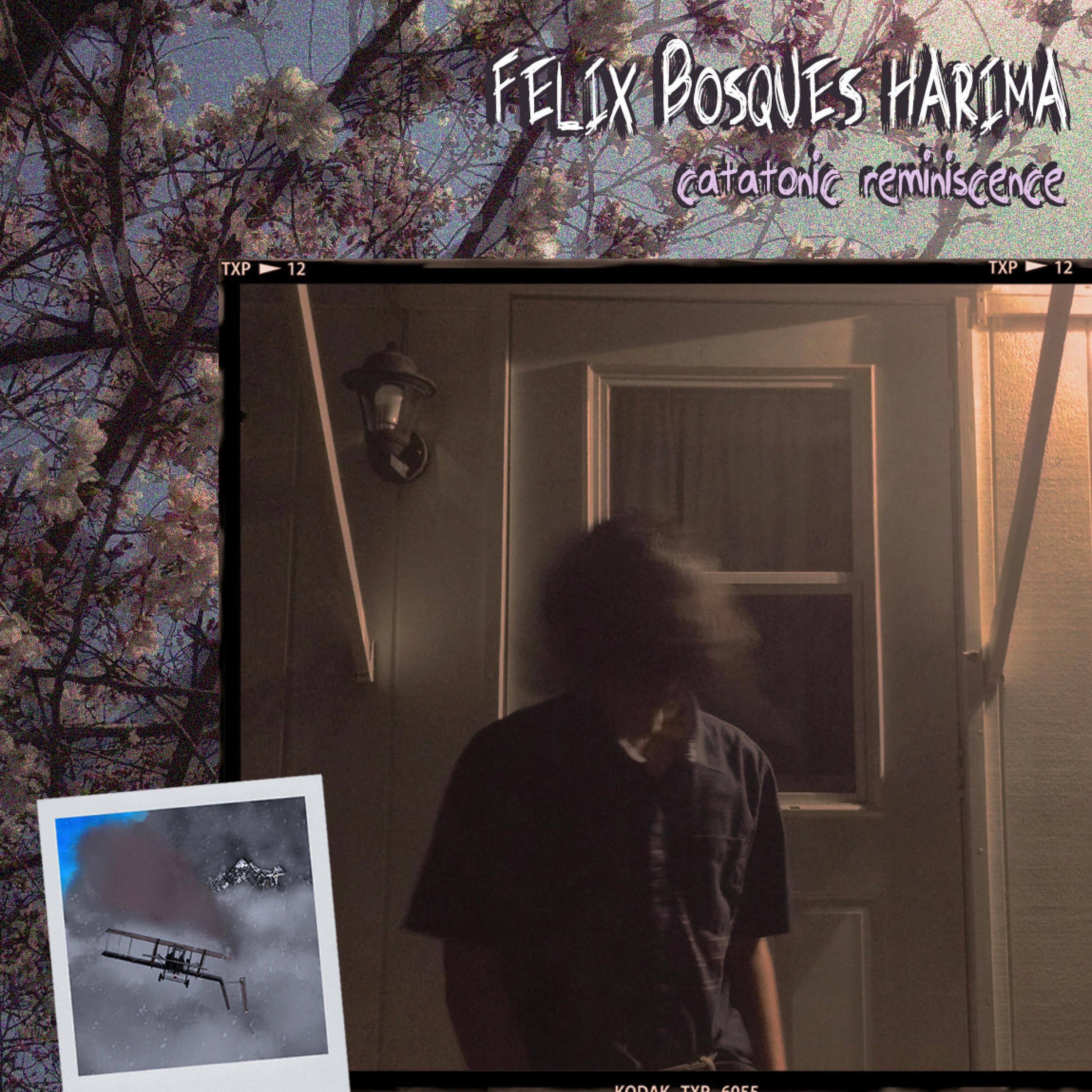 Catatonic Reminiscence album cover