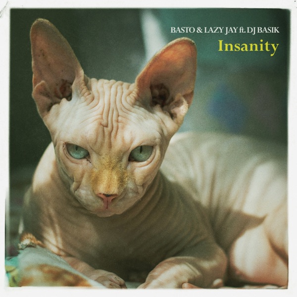 Insanity (feat. DJ Basik) - Single album cover