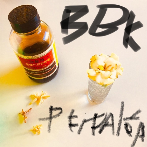 Pei Pa Koa - Single album cover