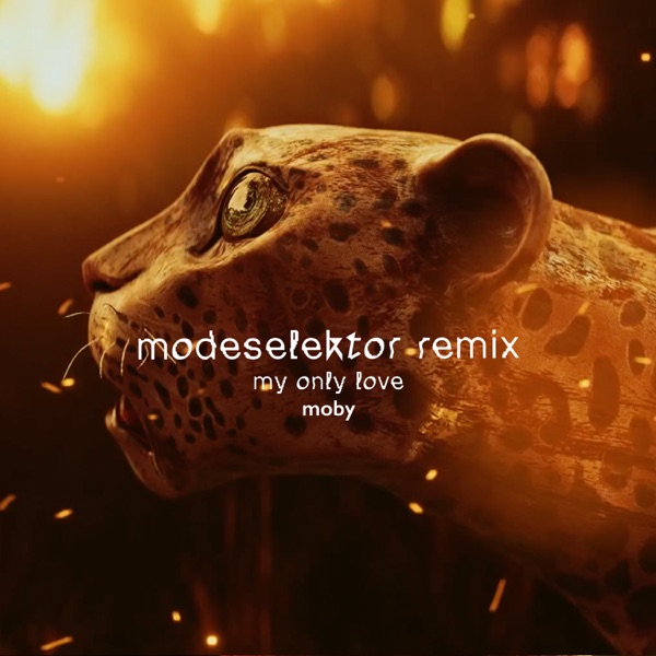 My Only Love (Modeselektor Remix) - Single album cover
