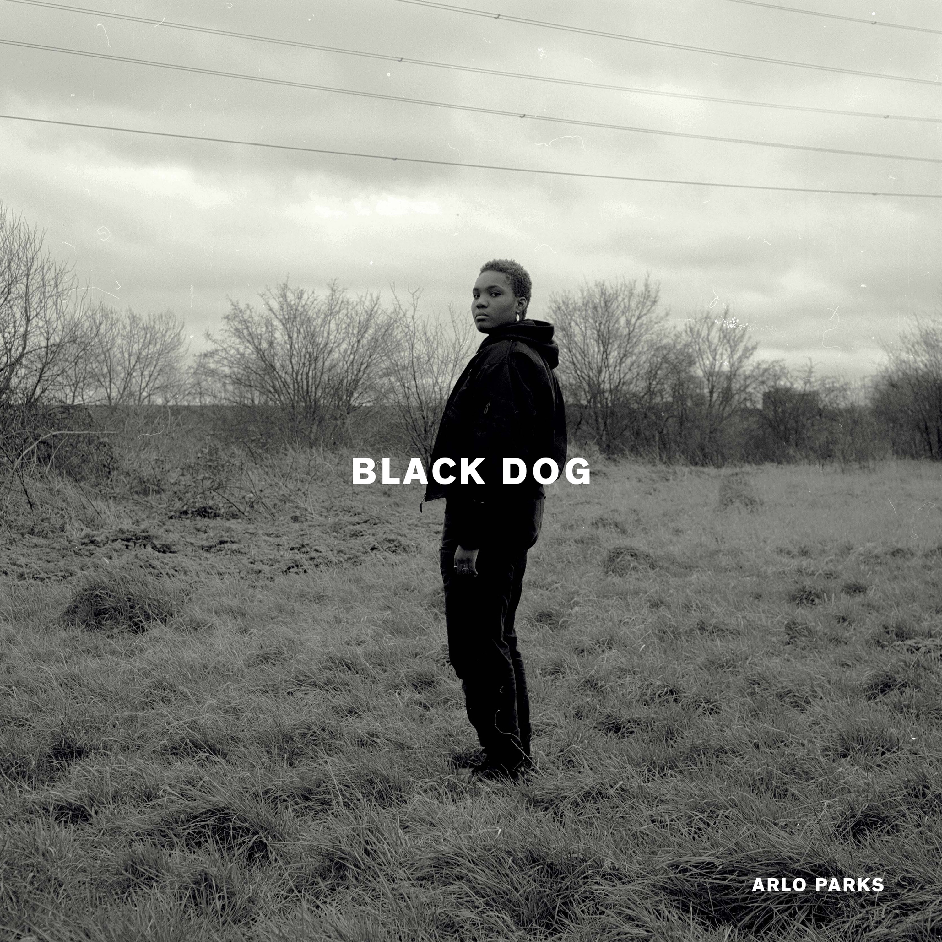 Black Dog - Single album cover