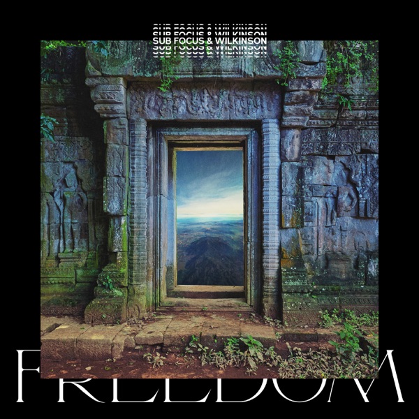 Freedom (Sub Focus x Wilkinson x High Contrast Remix) - Single album cover