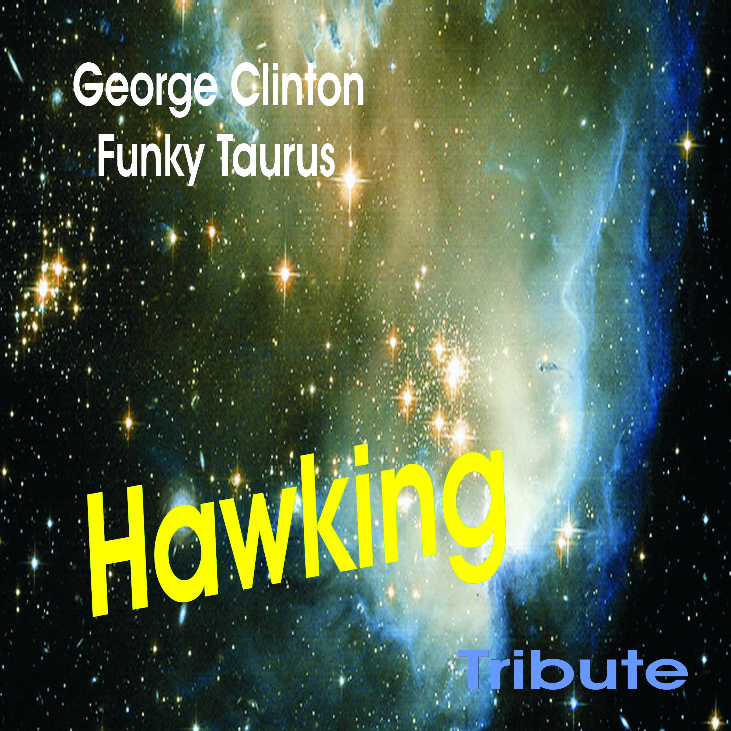 Hawking Tribute - Single album cover