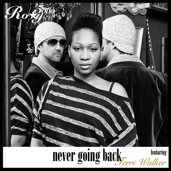 Never Going Back (feat. Terri Walker) - Single album cover