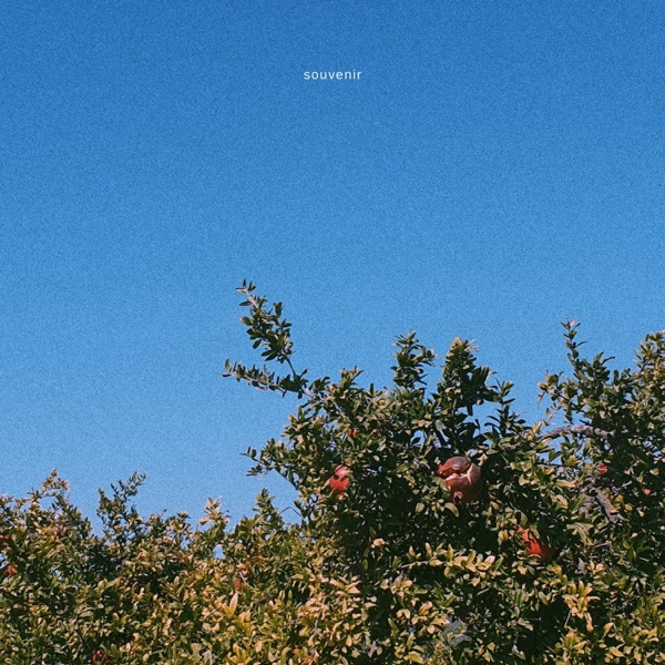 Souvenir - Single album cover