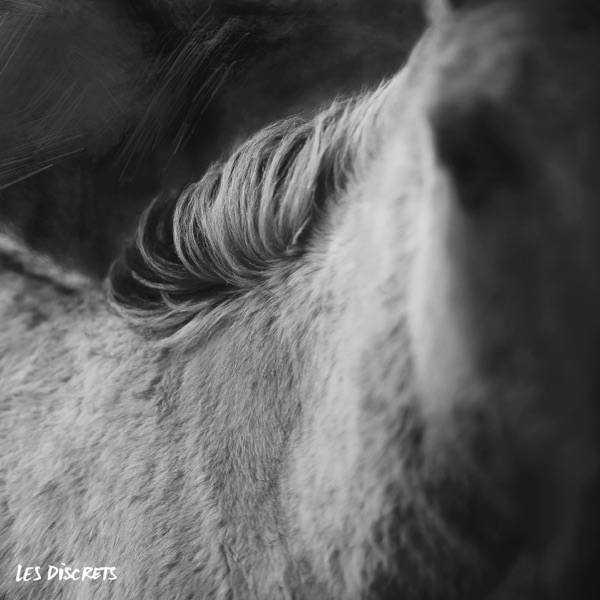 Rue Octavio Mey / Fleur des Murailles - EP album cover