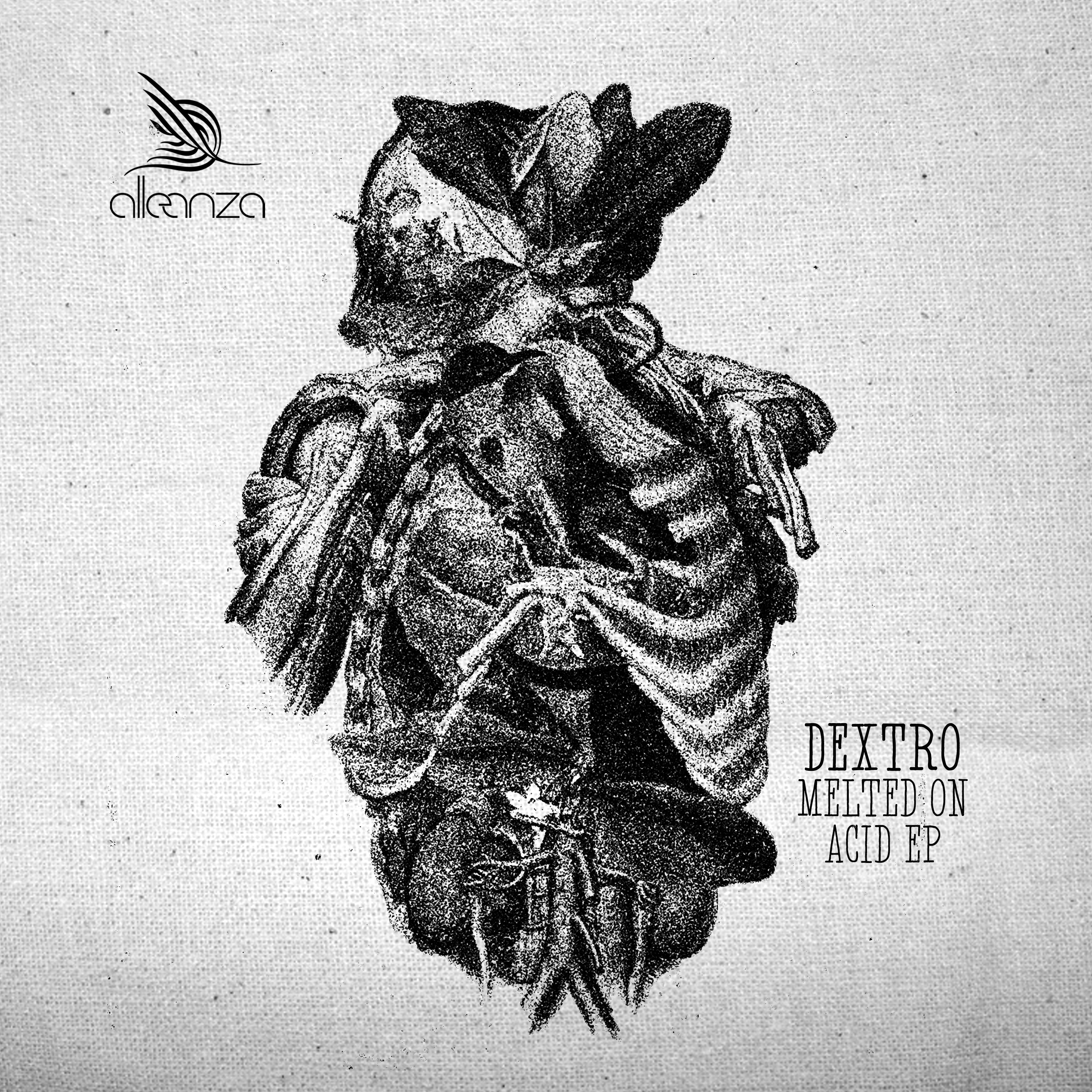 Melted on Acid - EP album cover