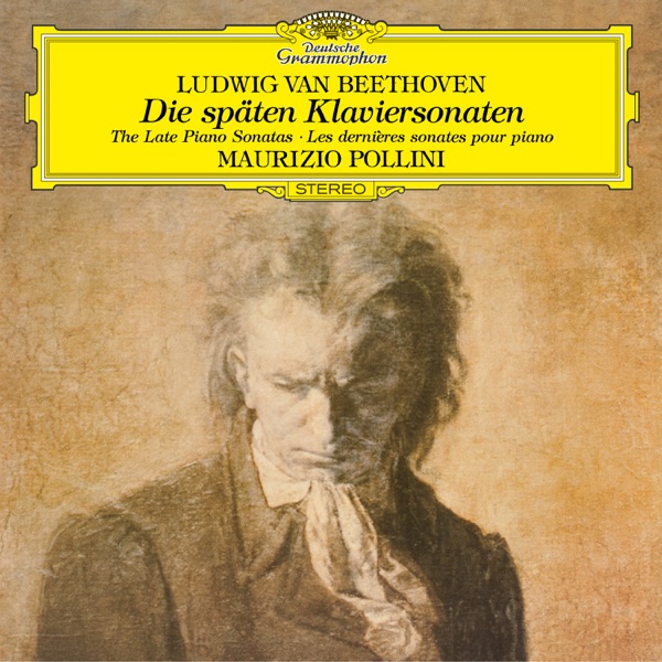 Beethoven: The Late Piano Sonatas (Nos. 28-32) album cover