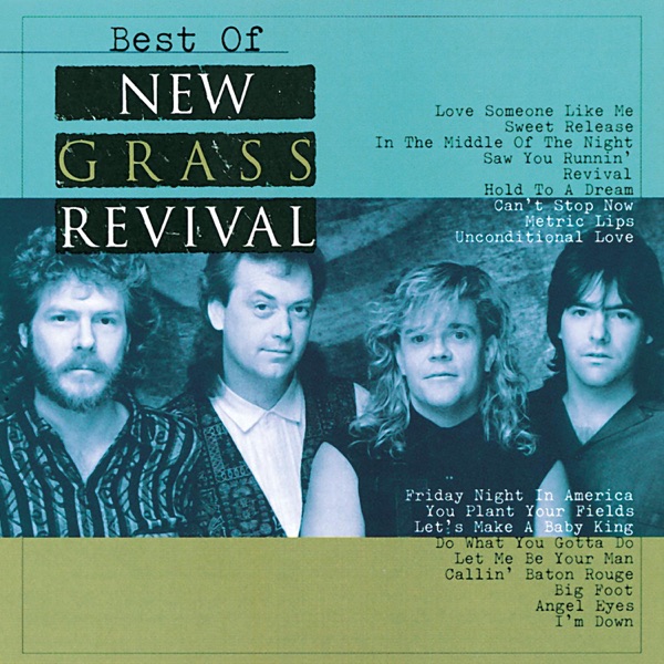 Best of New Grass Revival album cover