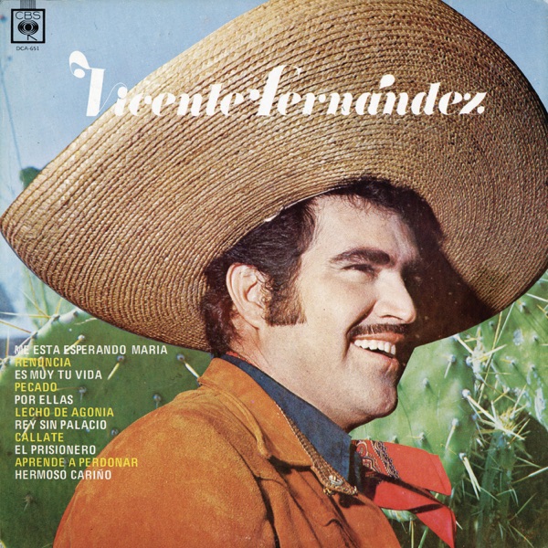Vícente Fernández album cover