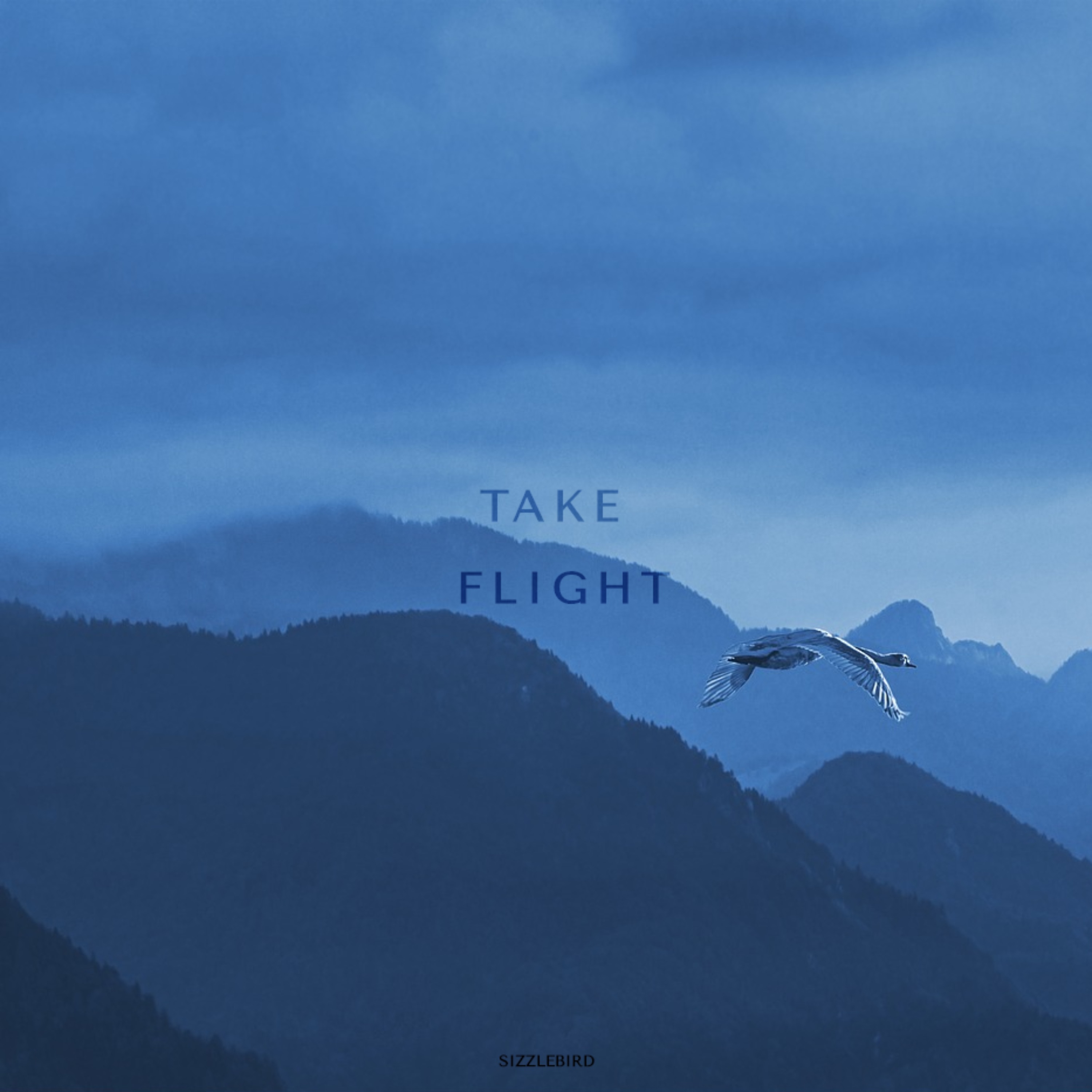 Take Flight - Single album cover
