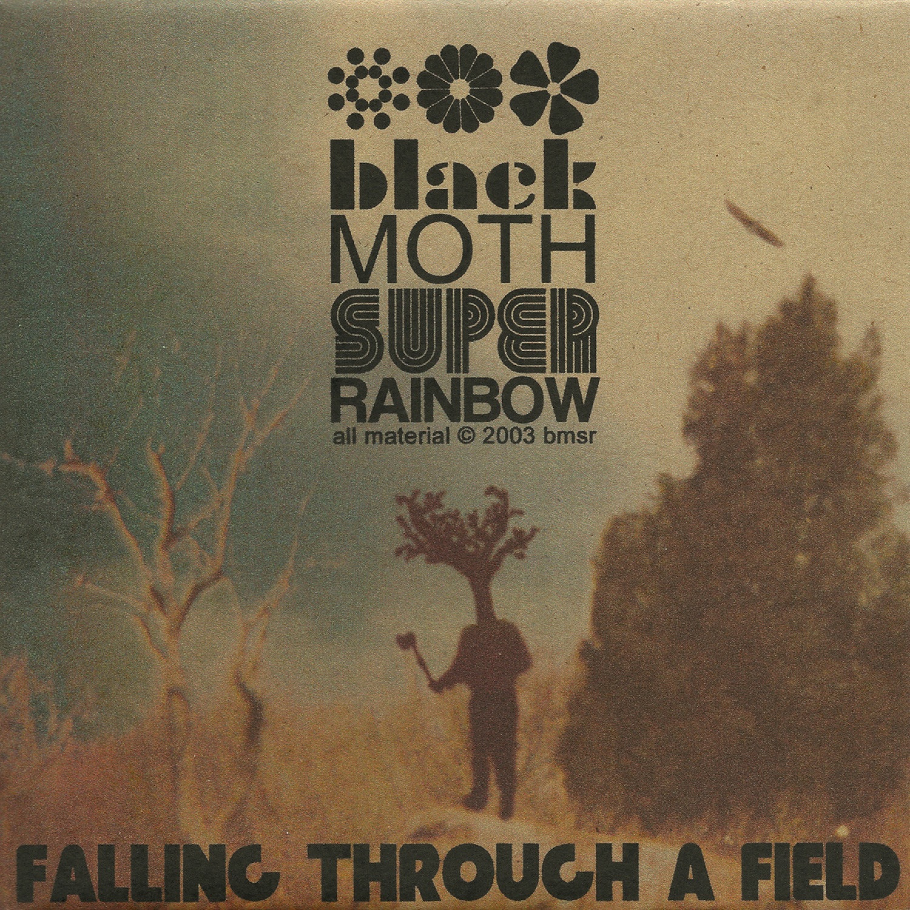 Falling Through a Field album cover