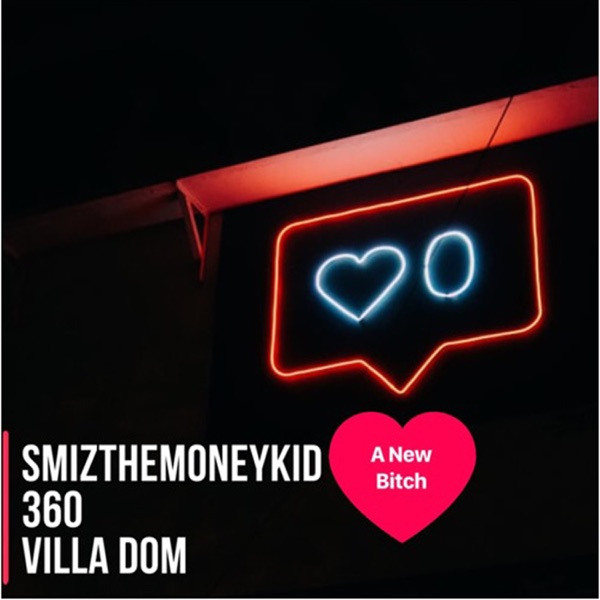 A New Bitch (feat. 360 & Villa Dom) - Single album cover