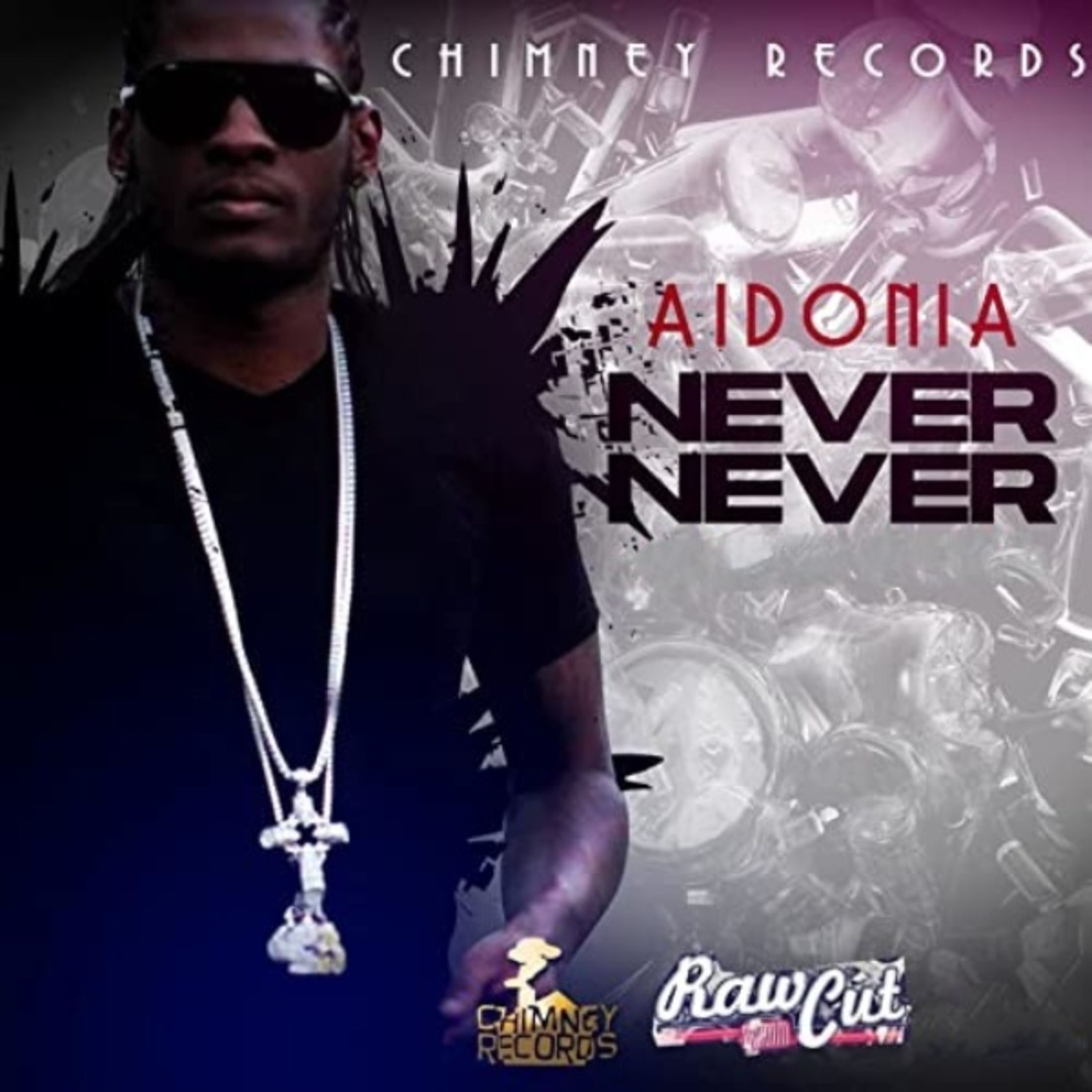 Never Never - Raw Cut Riddim - Single album cover