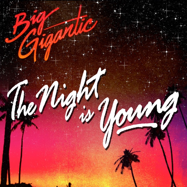 The Night Is Young album cover