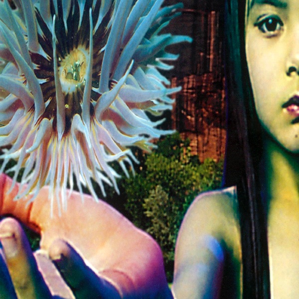 Lifeforms album cover