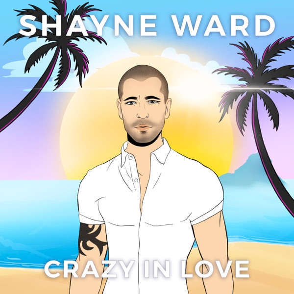Crazy in Love - Single album cover
