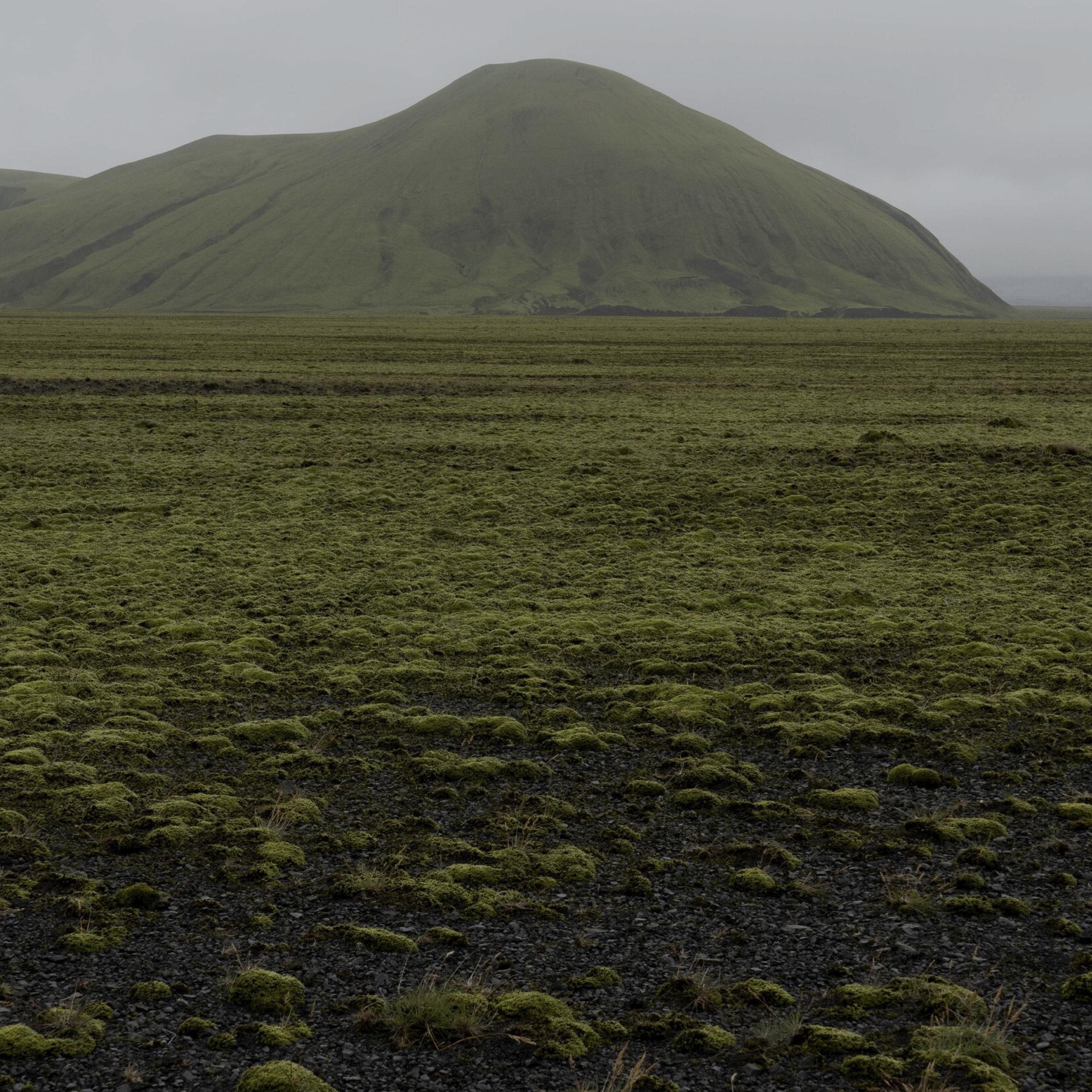 Wander, Further - Single album cover
