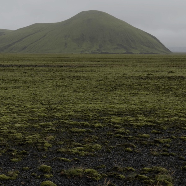 Wander, Further - Single album cover