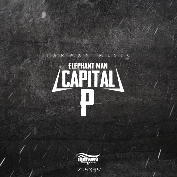 Capital P (Radio Edit) - Single album cover