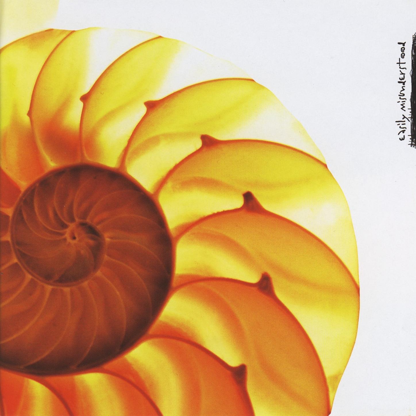 Easily Misunderstood album cover