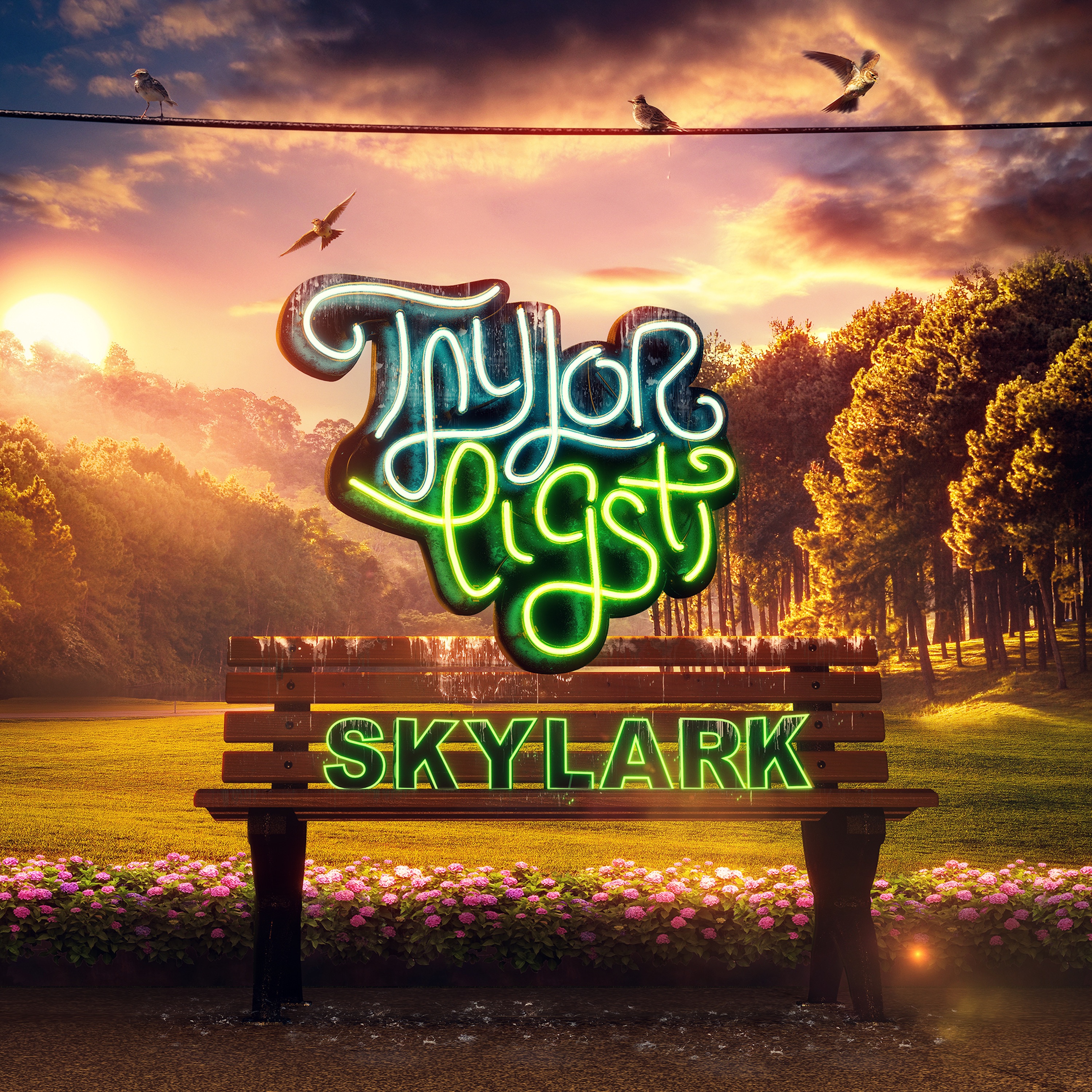 Skylark - Single album cover