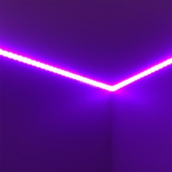 Echo (feat. Twikipedia) - Single album cover