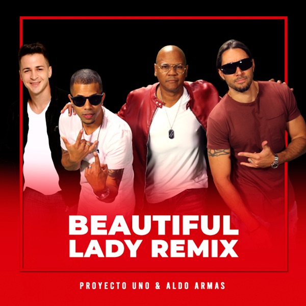 Beautiful Lady (Remix) - Single album cover