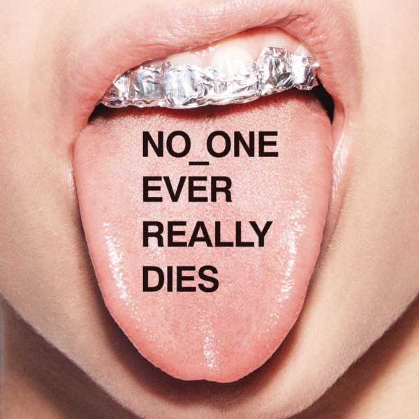 NO ONE EVER REALLY DIES album cover