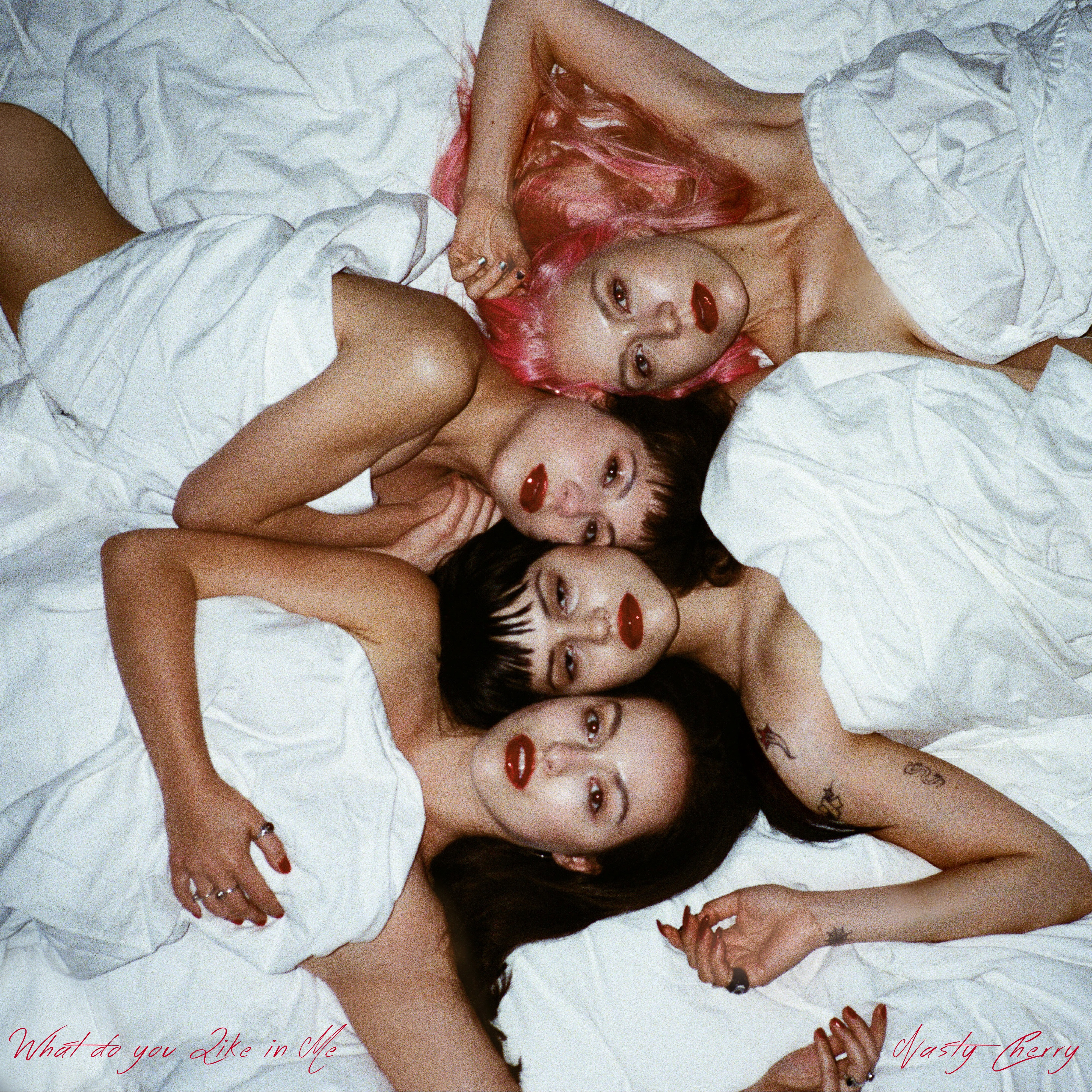 What Do You Like in Me - Single album cover