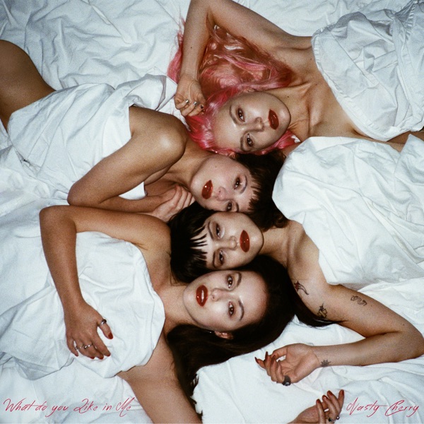 What Do You Like in Me - Single album cover