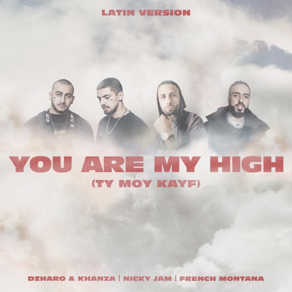 You Are My High (Ty moy kayf) [Latin Version] - Single album cover