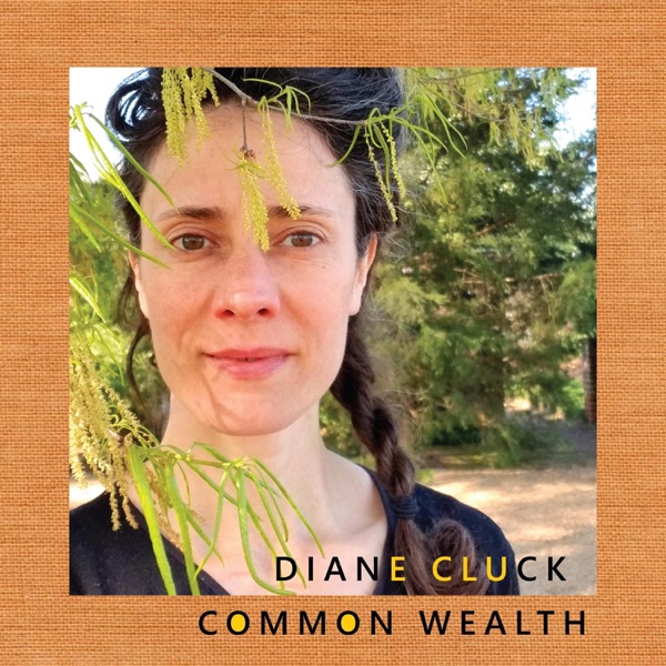 Common Wealth album cover