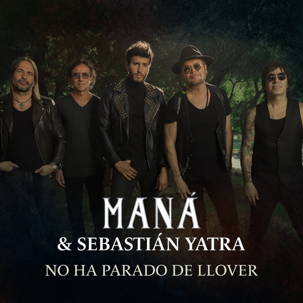 No Ha Parado de Llover - Single album cover