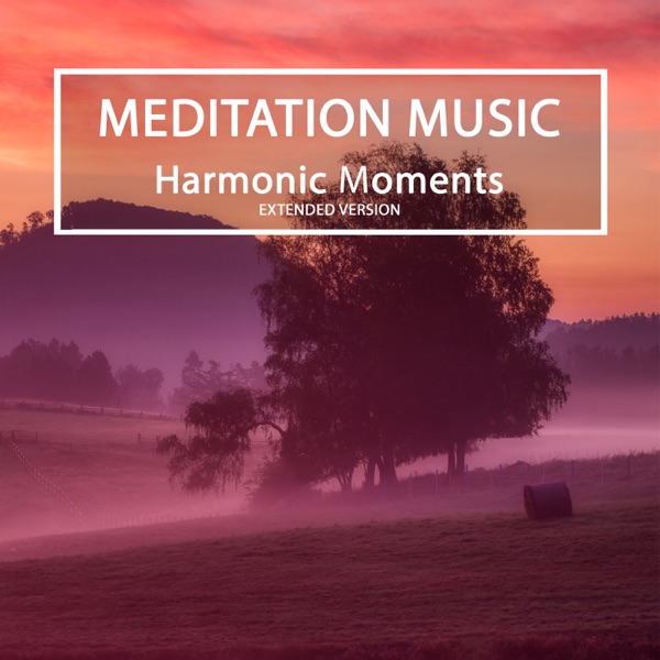Harmonic Moments (Extended Version) album cover