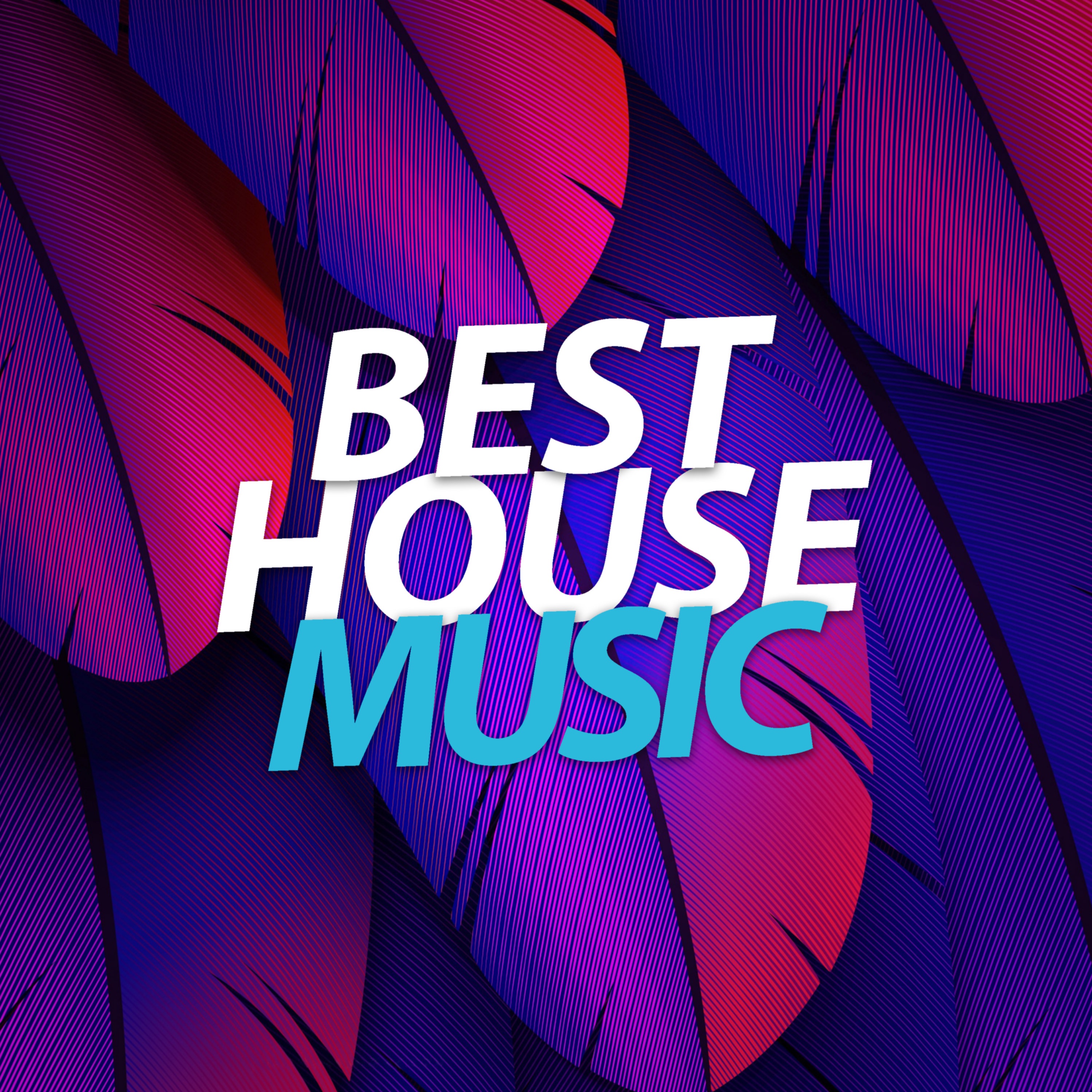Best House Music album cover