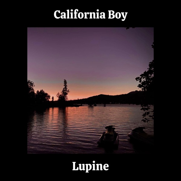 California Boy - Single album cover