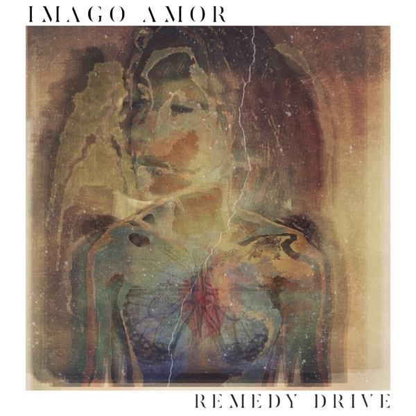 Imago Amor album cover