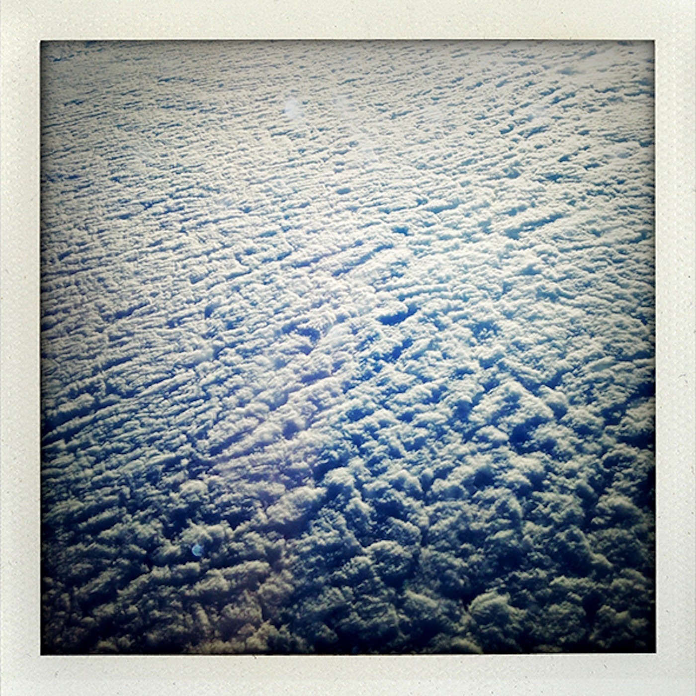 Wilderness album cover