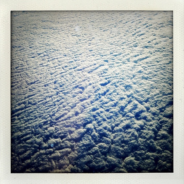 Wilderness album cover