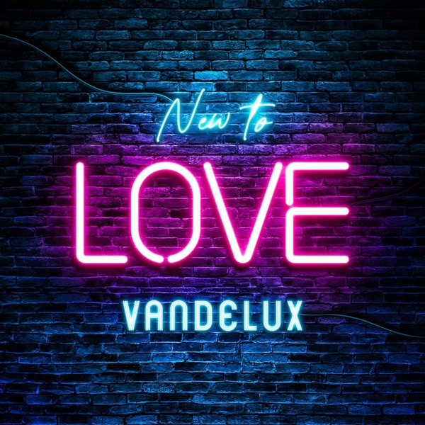 New to Love - Single album cover