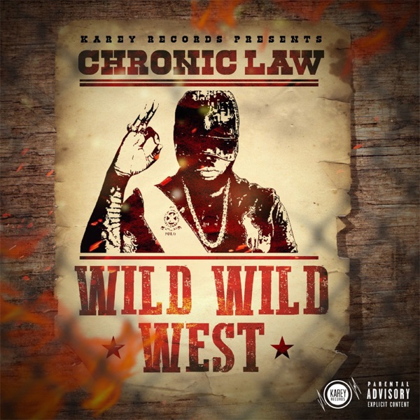 Wild Wild West - Single album cover