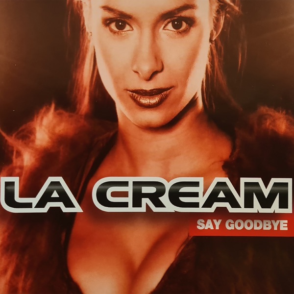 Say Goodbye (Remixes) album cover