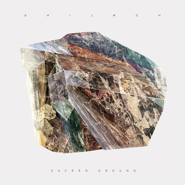 Howling (feat. RY X & Frank Wiedemann) - Single album cover