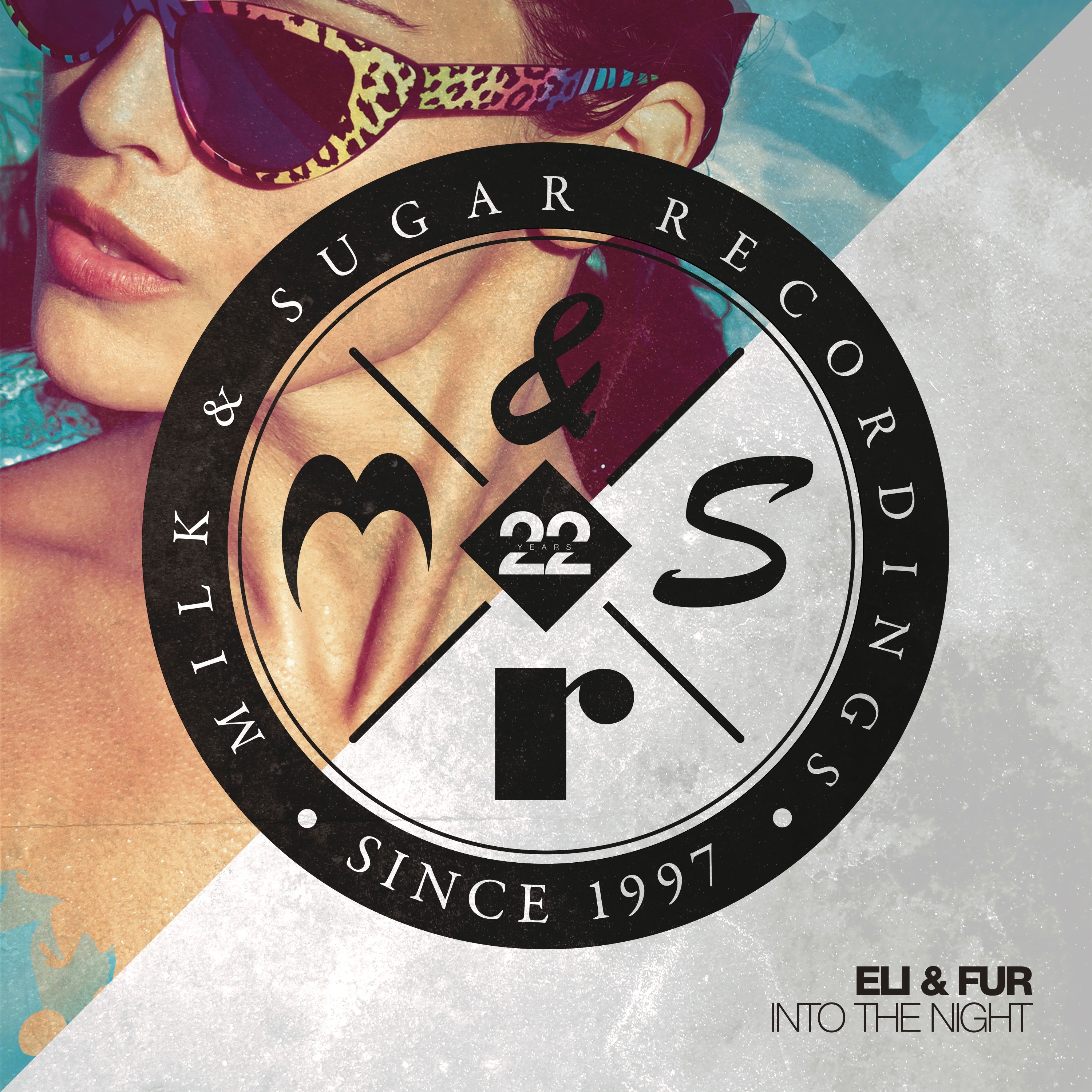 Into the Night (Extended Mix) - Single album cover