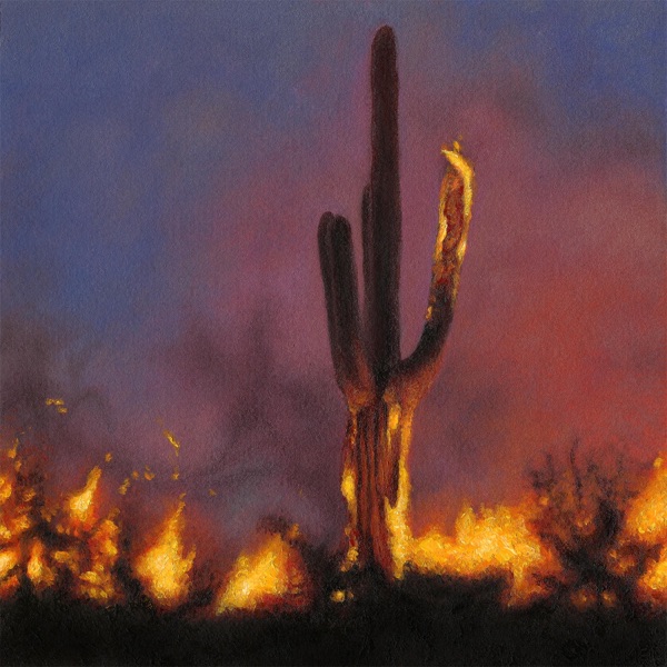 Horsehair Vase - Single album cover