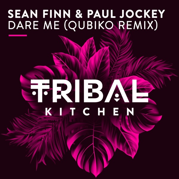 Dare Me (Qubiko Remix) - Single album cover
