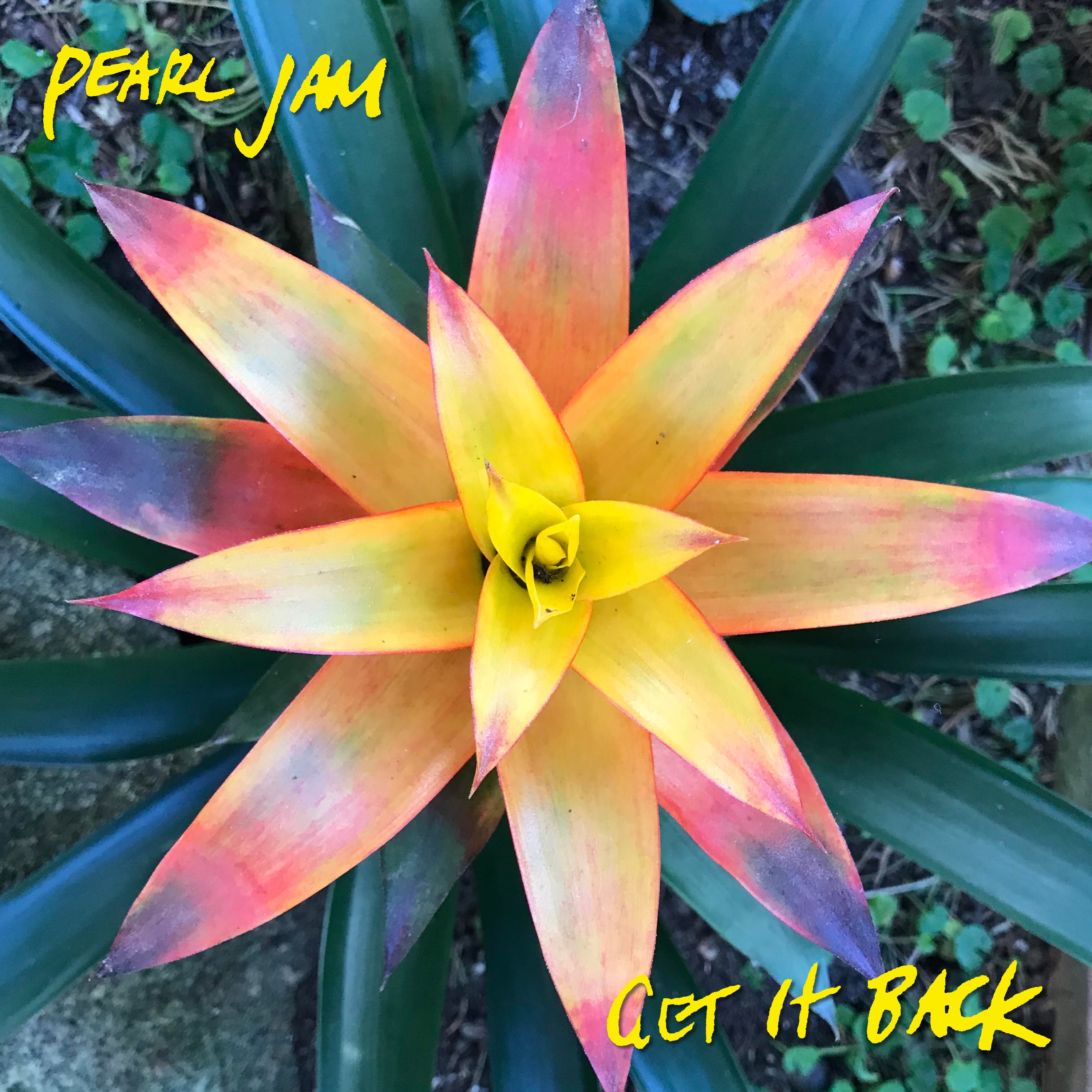 Get It Back - Single album cover